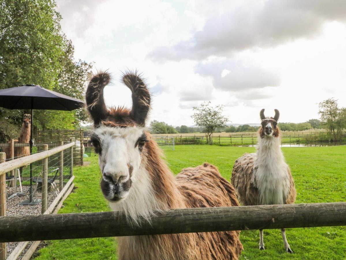Chequer Stable Villa Brereton Bagian luar foto